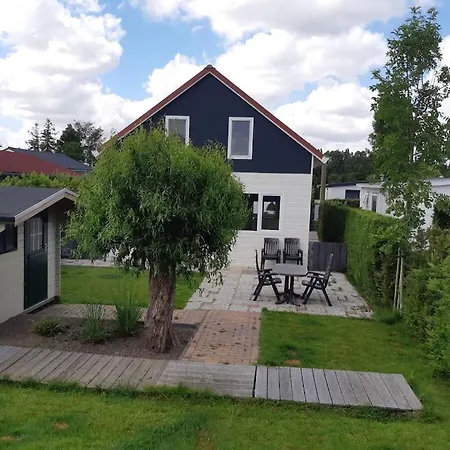 Waterlelie De Groote Vliet Wervershoof