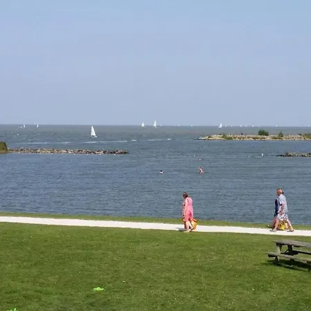 Waterlelie De Groote Vliet Верверсхоф