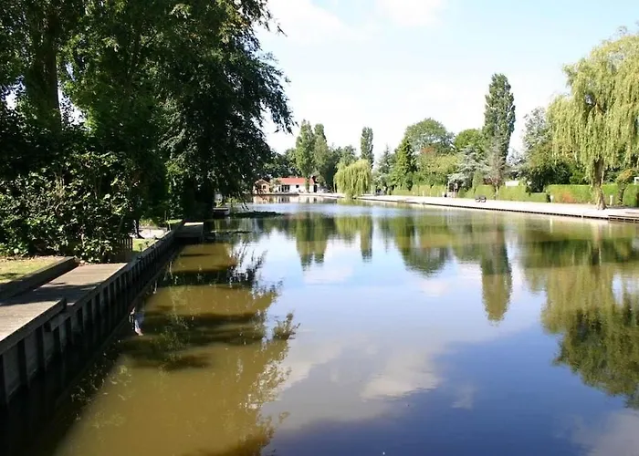 Waterlelie De Groote Vliet Tatil Evi Wervershoof