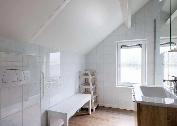 Waterlelie De Groote Vliet Tatil Evi